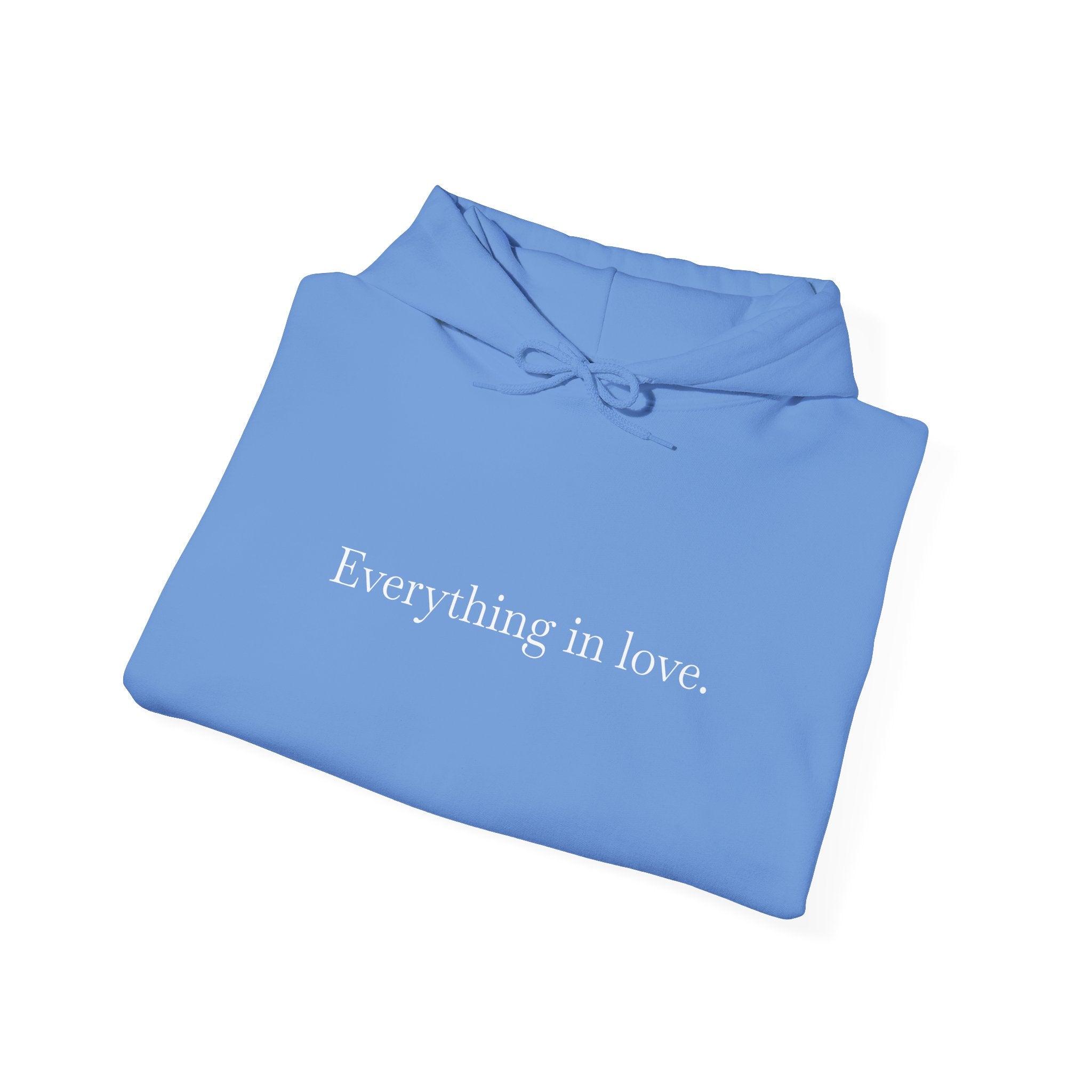 Everything In Love Hoodie